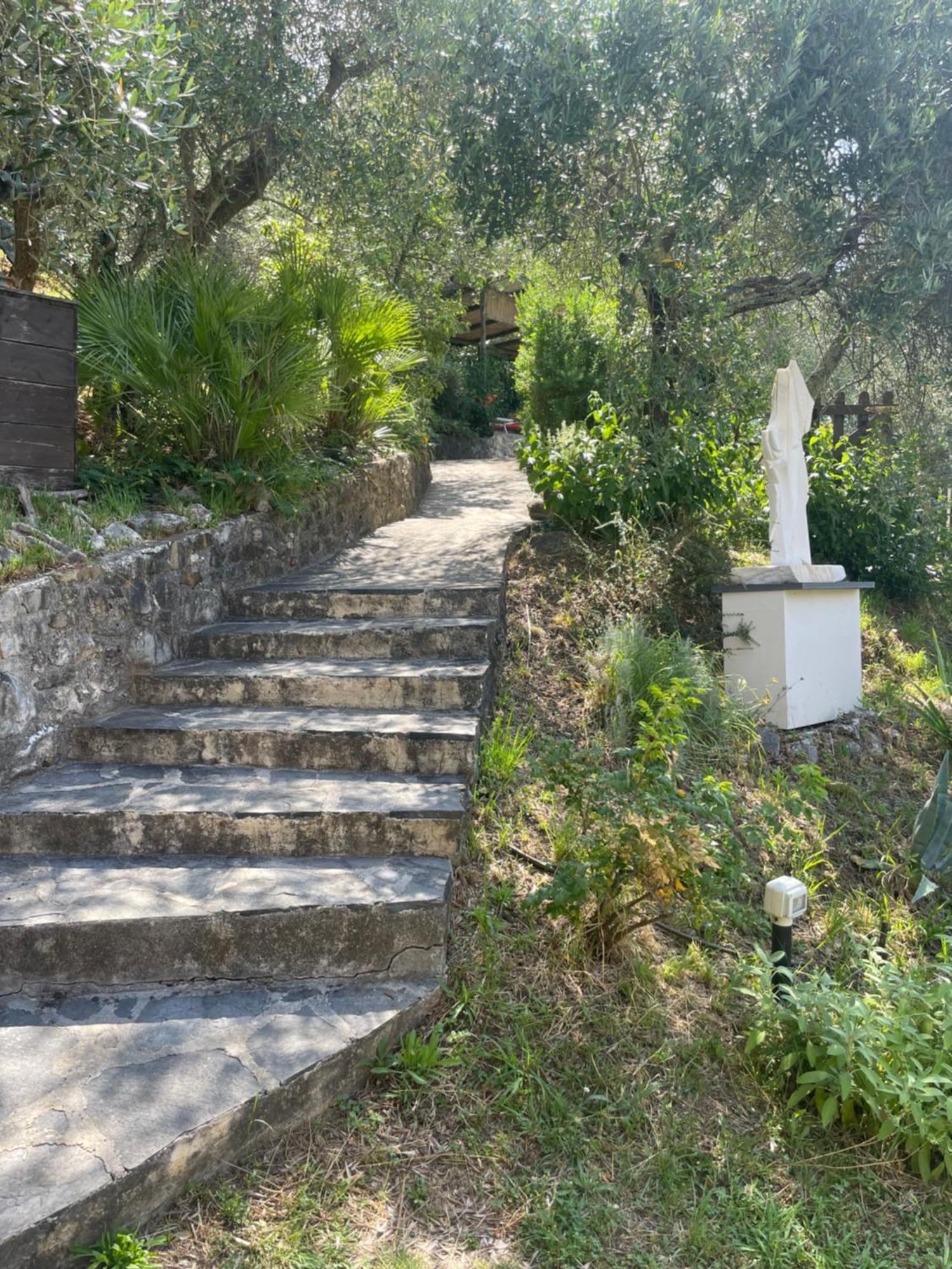 Casa Del Sole Bed & Breakfast Camaiore Exterior photo